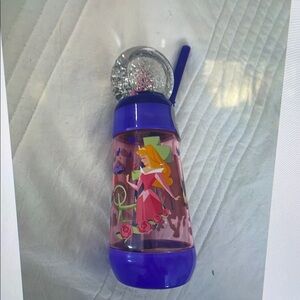 Purple and Pink Princess Water Bottle